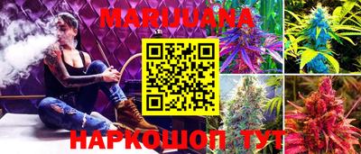 мяу мяу мука Малгобек
