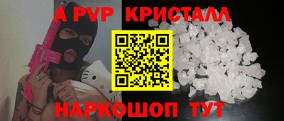 гашик Моздок