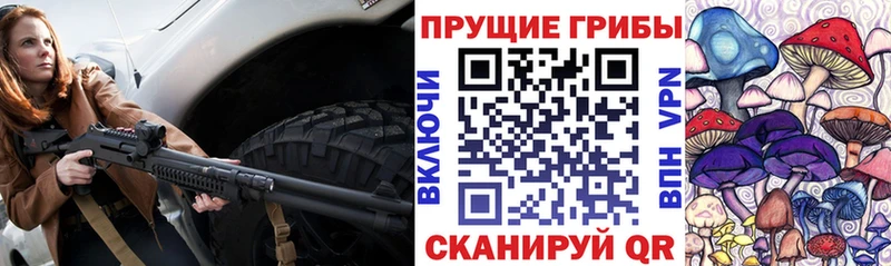 Псилоцибиновые грибы Cubensis мега онион Шадринск