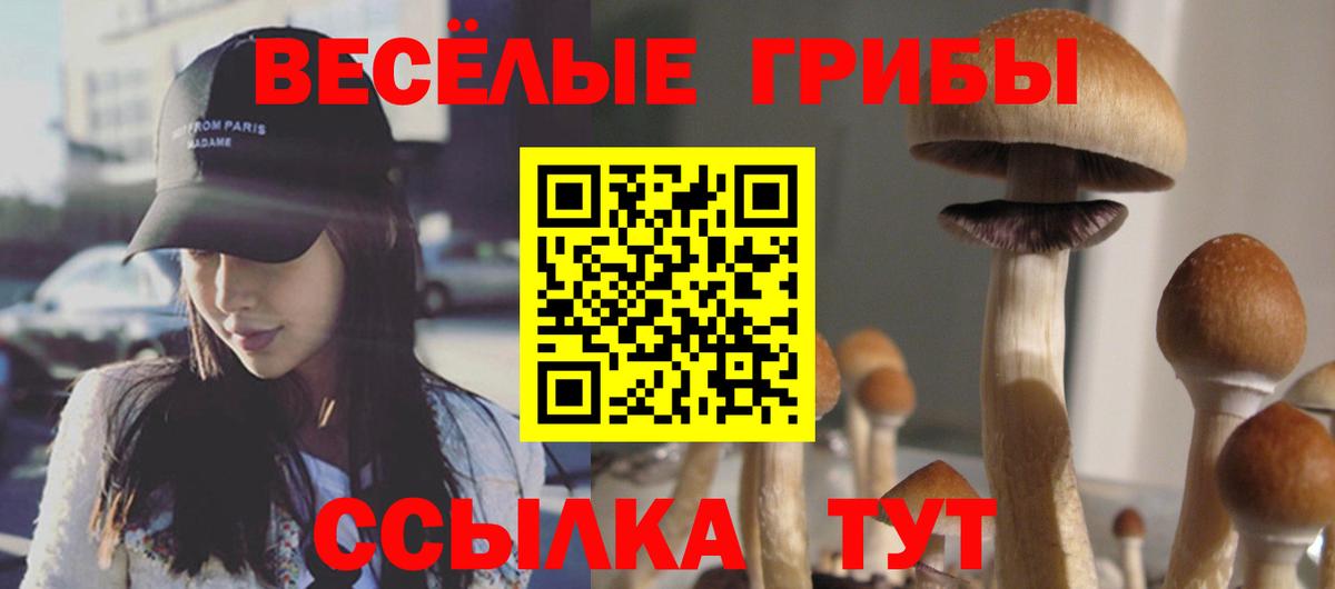 Галлюциногенные грибы Psilocybe  Вход с VPN  Шадринск 